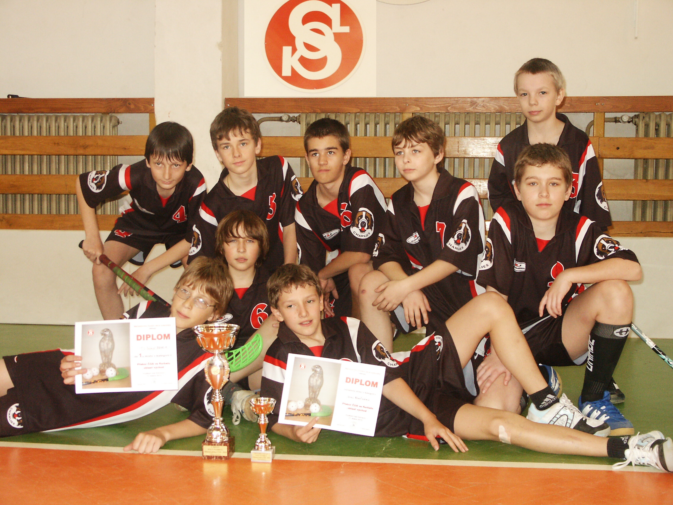 Sokol Brno 1.JPG